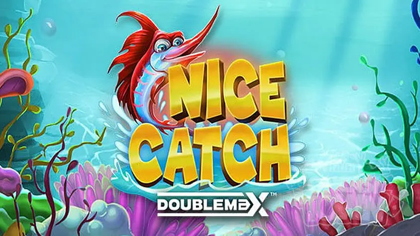 [이그드라실] Nice Catch DoubleMax(나이스 캐치 더블 맥스)