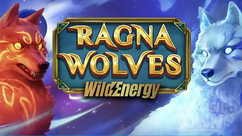 [이그드라실] RagnaWolves WildEnergy (라그나 우루브스 와일드 에너지)