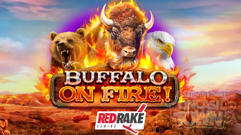 [레드 레이크 게이밍] Buffalo on Fire(버팔로 온 파이어)