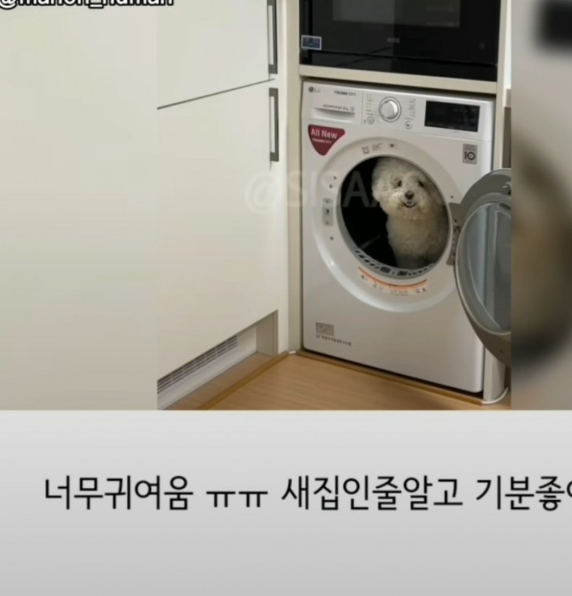 이사햇는데 세탁기가 자기집인줄암 ㅋㅋㅋ