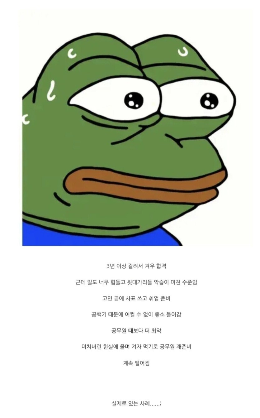 공무원준비하다 인생말아먹는실제 사례