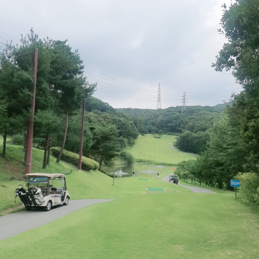 골프 치다 쓰러질뻔