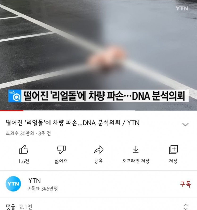 안 눌러볼 수가 없는 썸넬