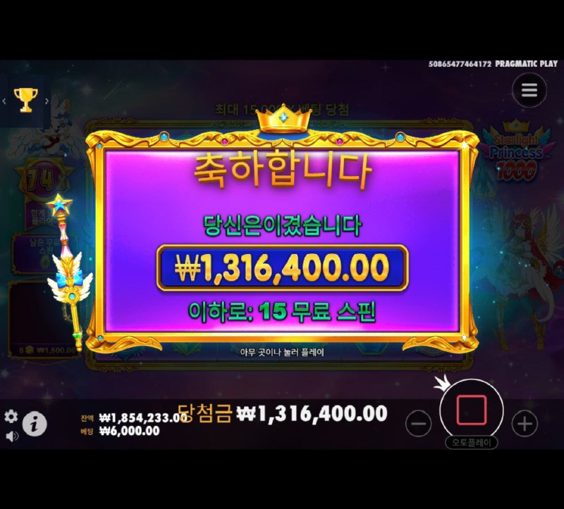 11/6 비트후기