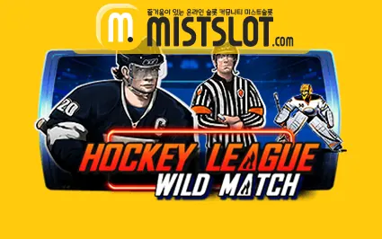 HOCKEY LEAGUE WILD MATCH