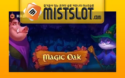 하바네로 [Habanero] 매직 오크 Magic Oak