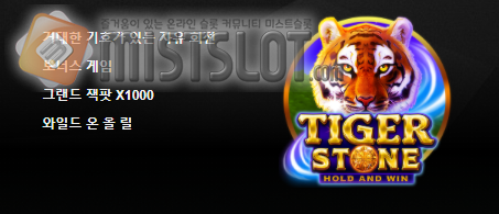 부운고 슬롯 게임 리뷰 타이거 스톤 Tiger Stone