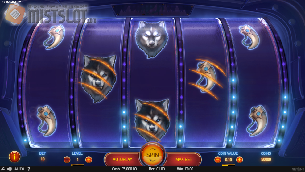 넷엔트 슬롯 게임 리뷰 스핀세인 슬롯 Spinsane Slot