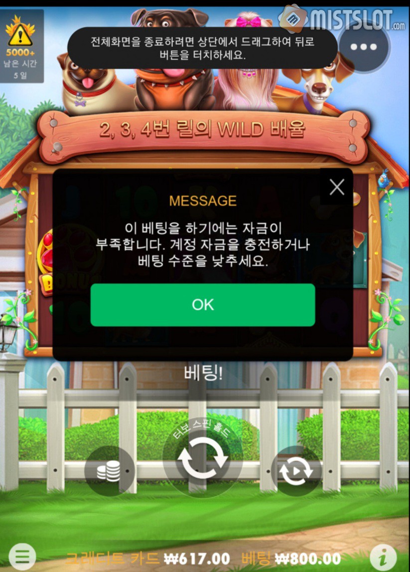 파라오후기