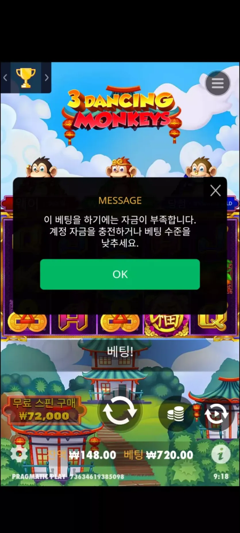 투데이후기